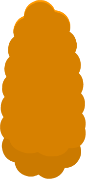 Orange tree leaves 3